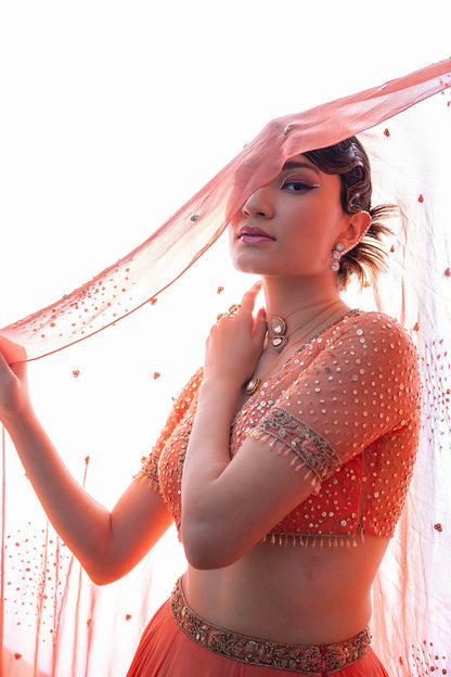 Apricot Affair Lehenga