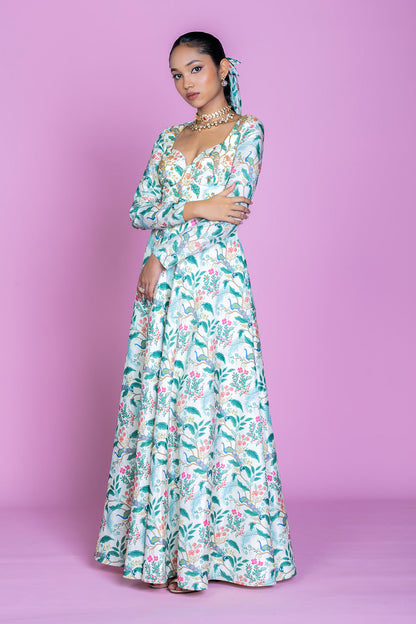 Ivory Serenade Embroidered Anarkali Gown Set