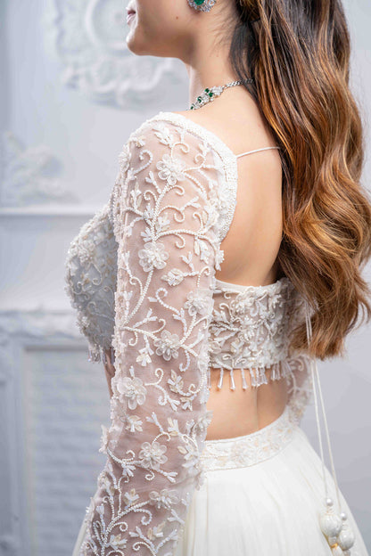 Regal Frost Lehenga